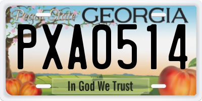 GA license plate PXA0514