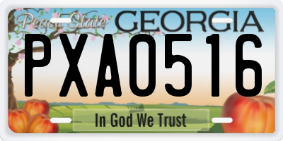GA license plate PXA0516