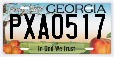 GA license plate PXA0517