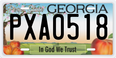 GA license plate PXA0518