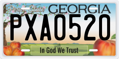 GA license plate PXA0520