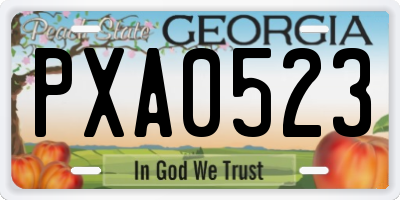 GA license plate PXA0523