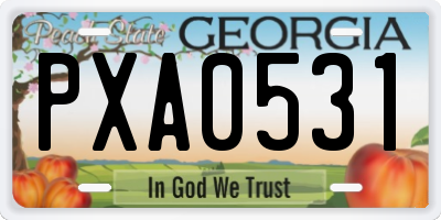 GA license plate PXA0531