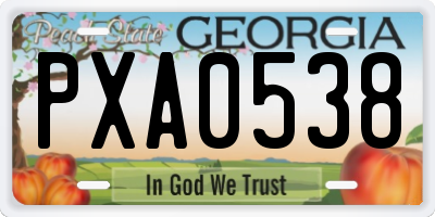 GA license plate PXA0538