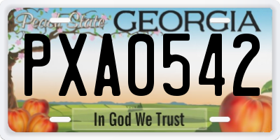 GA license plate PXA0542