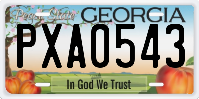 GA license plate PXA0543
