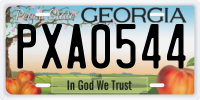 GA license plate PXA0544