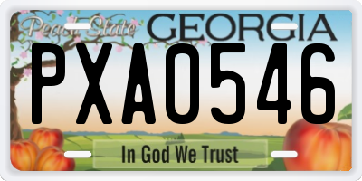 GA license plate PXA0546