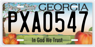 GA license plate PXA0547