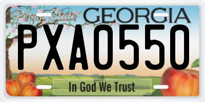 GA license plate PXA0550