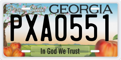 GA license plate PXA0551