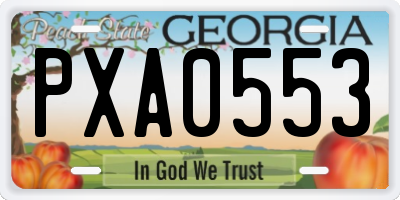 GA license plate PXA0553