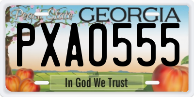 GA license plate PXA0555