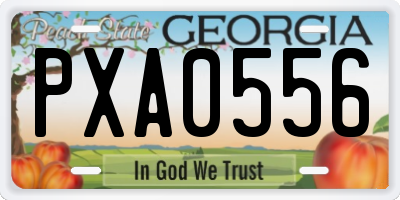 GA license plate PXA0556