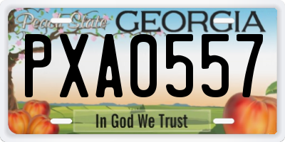 GA license plate PXA0557
