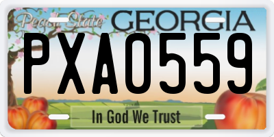 GA license plate PXA0559