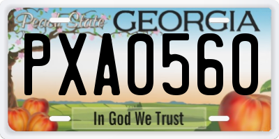 GA license plate PXA0560