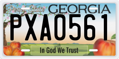 GA license plate PXA0561