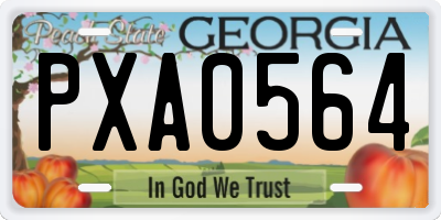 GA license plate PXA0564