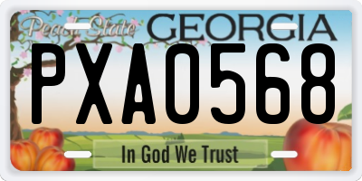 GA license plate PXA0568
