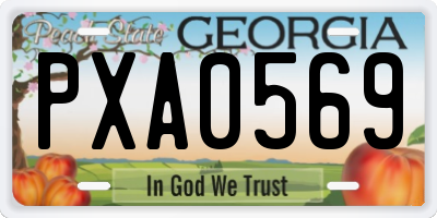 GA license plate PXA0569