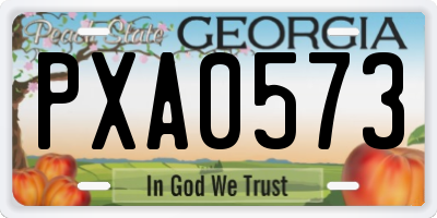 GA license plate PXA0573