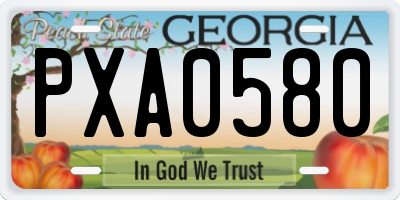GA license plate PXA0580