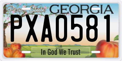 GA license plate PXA0581
