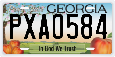 GA license plate PXA0584