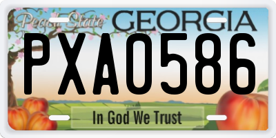 GA license plate PXA0586