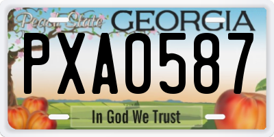 GA license plate PXA0587