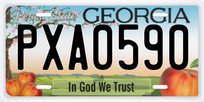GA license plate PXA0590