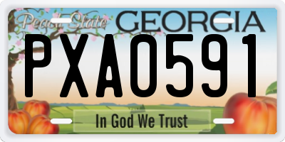GA license plate PXA0591