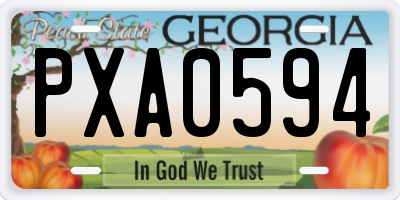 GA license plate PXA0594