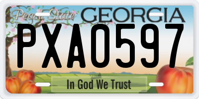 GA license plate PXA0597