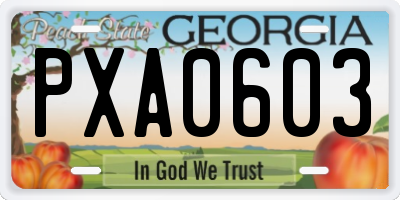 GA license plate PXA0603