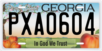 GA license plate PXA0604