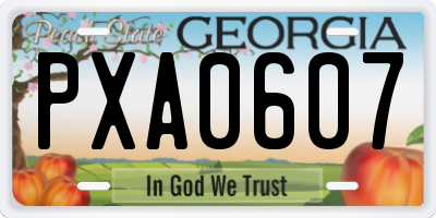 GA license plate PXA0607