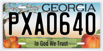 GA license plate PXA0640