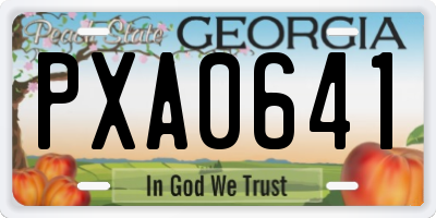 GA license plate PXA0641