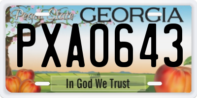 GA license plate PXA0643
