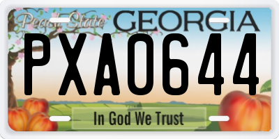 GA license plate PXA0644