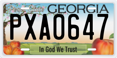 GA license plate PXA0647