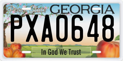 GA license plate PXA0648