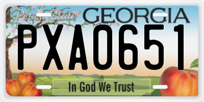 GA license plate PXA0651
