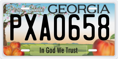 GA license plate PXA0658