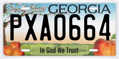 GA license plate PXA0664