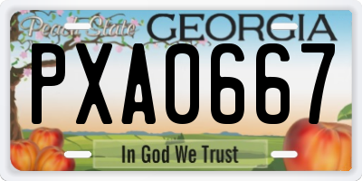 GA license plate PXA0667