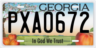 GA license plate PXA0672