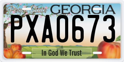 GA license plate PXA0673